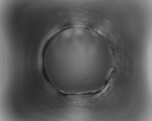 X0000088750343200706071725