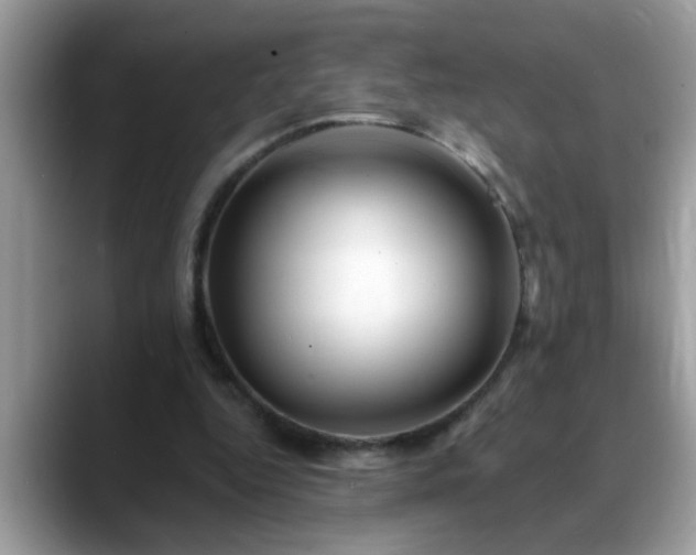 X0000088750344200706071725