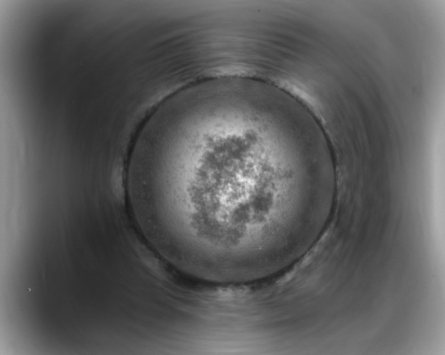 X0000088750345200706071725