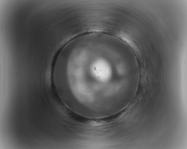 X0000088750346200706071725