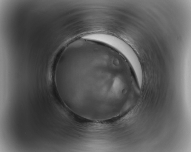 X0000088750347200706071725
