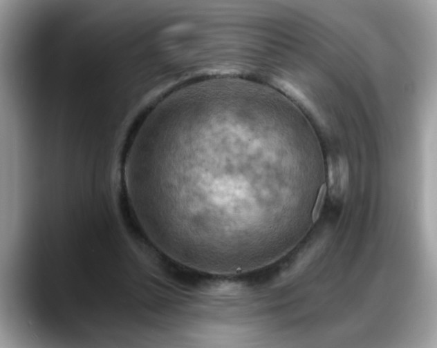 X0000088750348200706071725