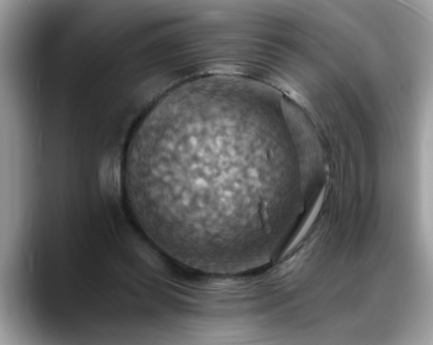 X0000088750349200706071725