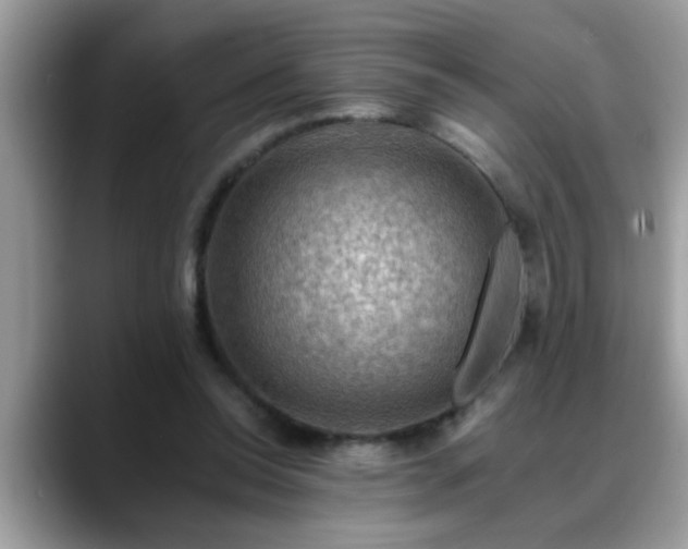 X0000088750350200706071725