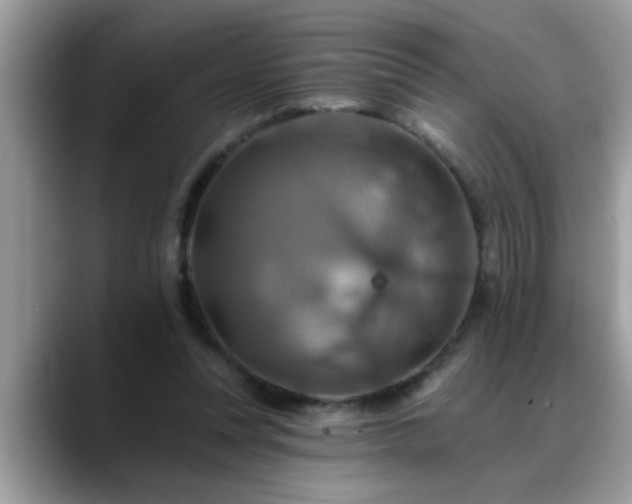 X0000088750351200706071725