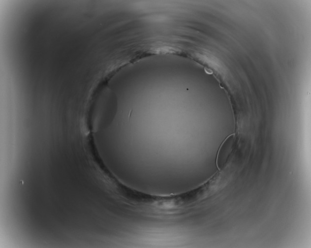 X0000088750353200706071725