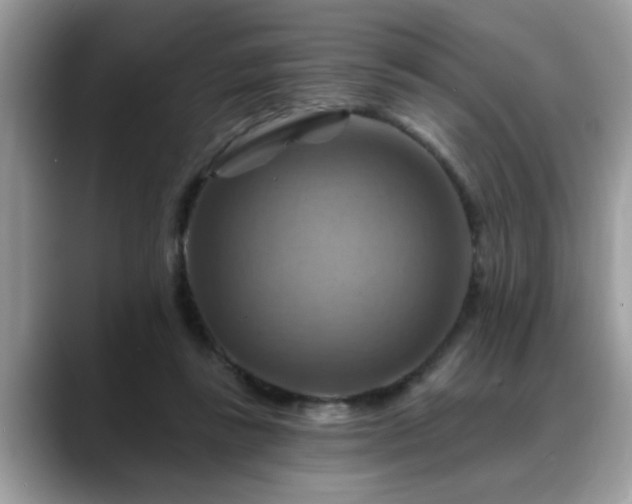 X0000088750355200706071725