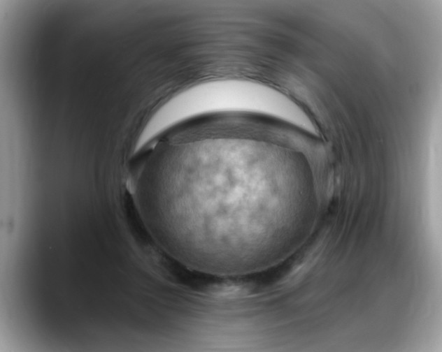 X0000088750356200706071725