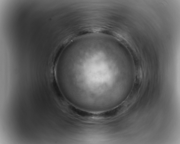 X0000088750360200706071725