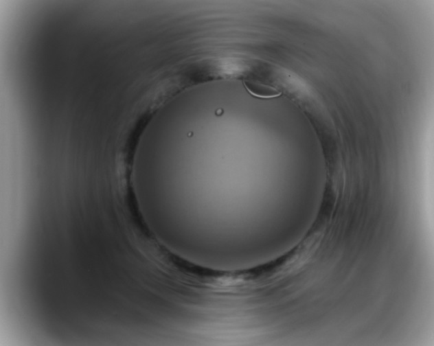 X0000088750366200706071725