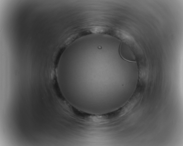 X0000088750367200706071725
