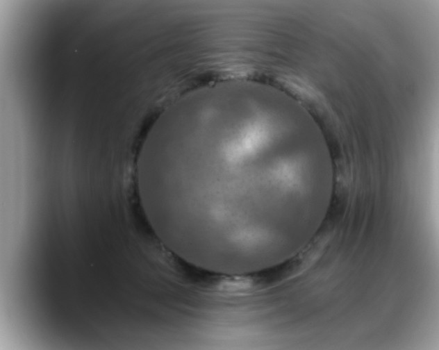 X0000088750369200706071725