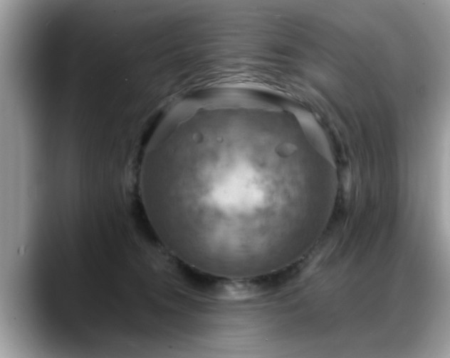 X0000088750372200706071725