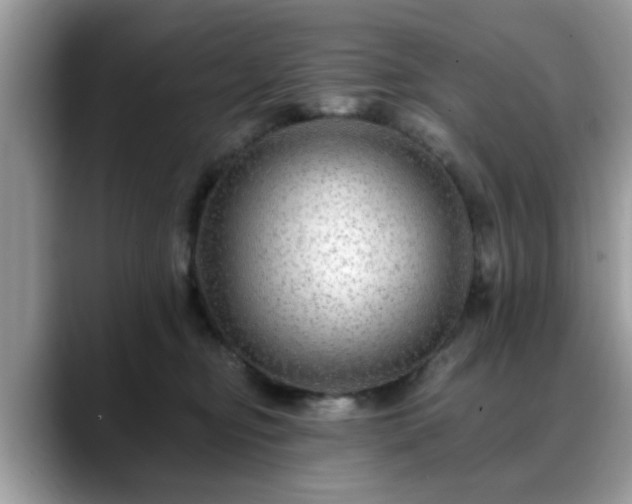 X0000088750374200706071725