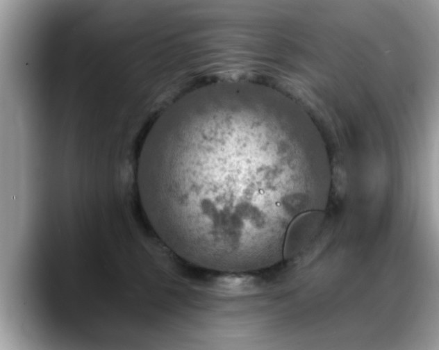 X0000088750375200706071725