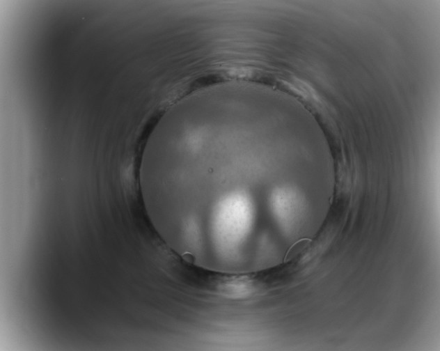 X0000088750377200706071725