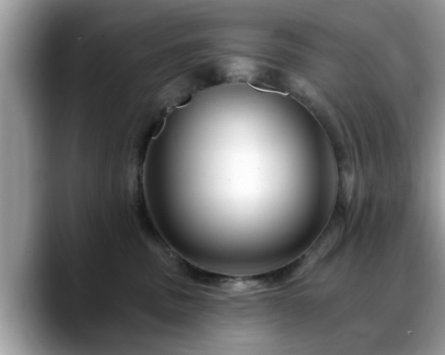 X0000088750379200706071725