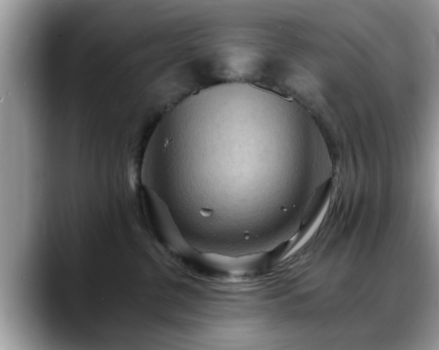 X0000088750380200706071725