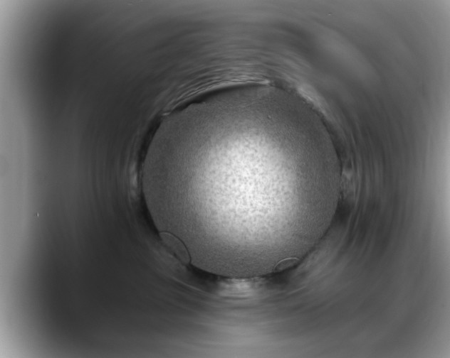 X0000088750381200706071725