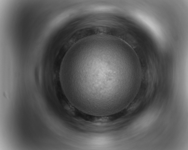 X0000088750382200706071725