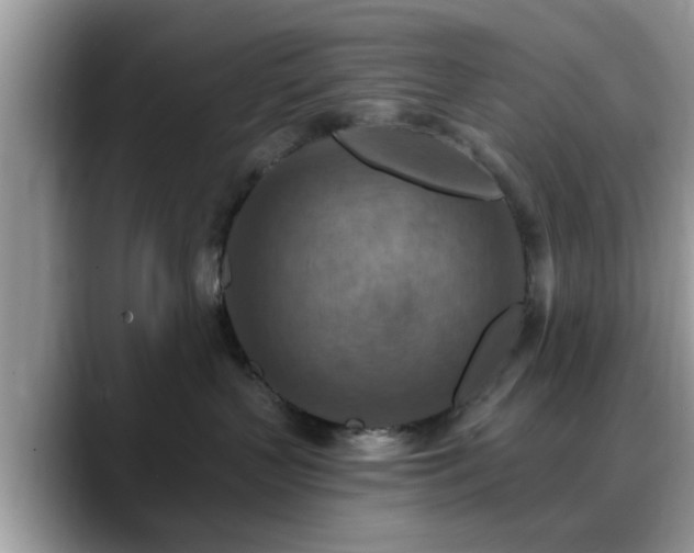 X0000088750383200706071725