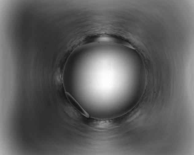 X0000088750384200706071725