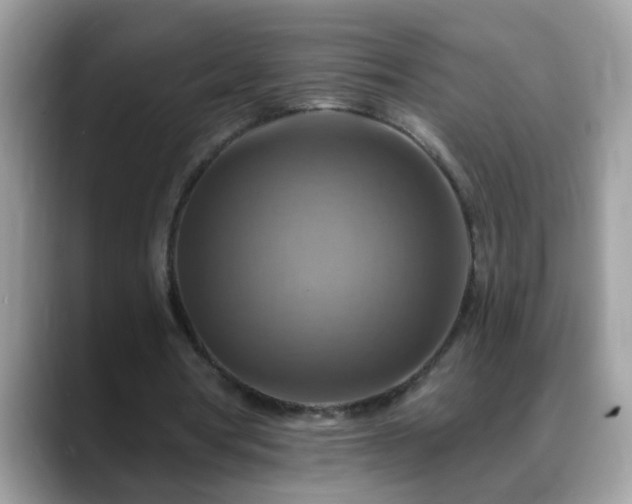 X0000088750386200706071724