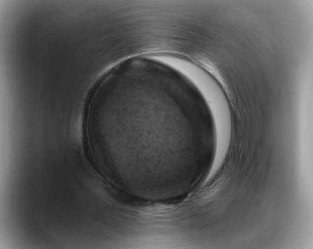 X0000088750387200706071724
