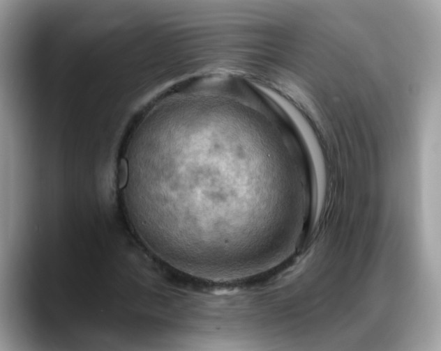 X0000088750388200706071724