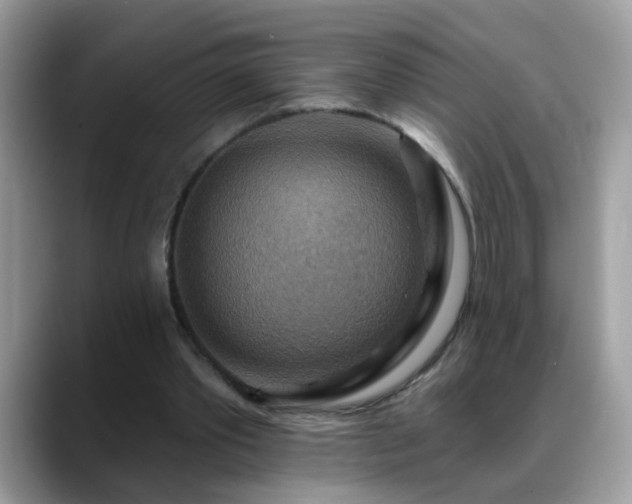 X0000088750389200706071724