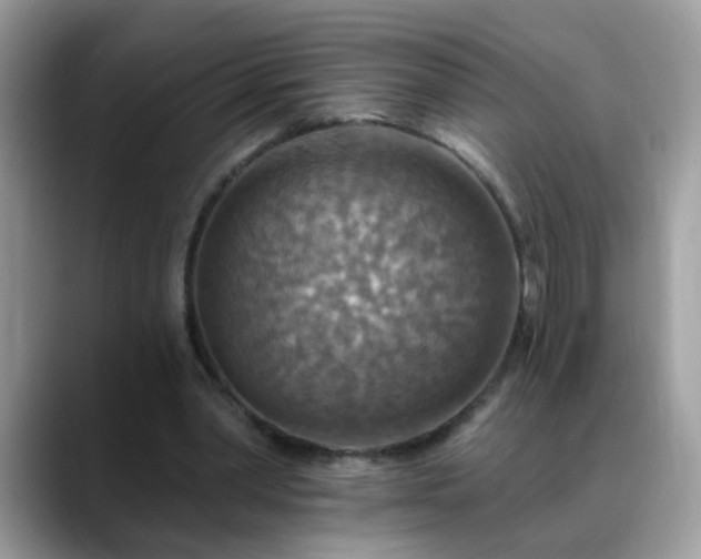 X0000088750390200706071724
