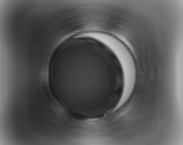 X0000088750391200706071724
