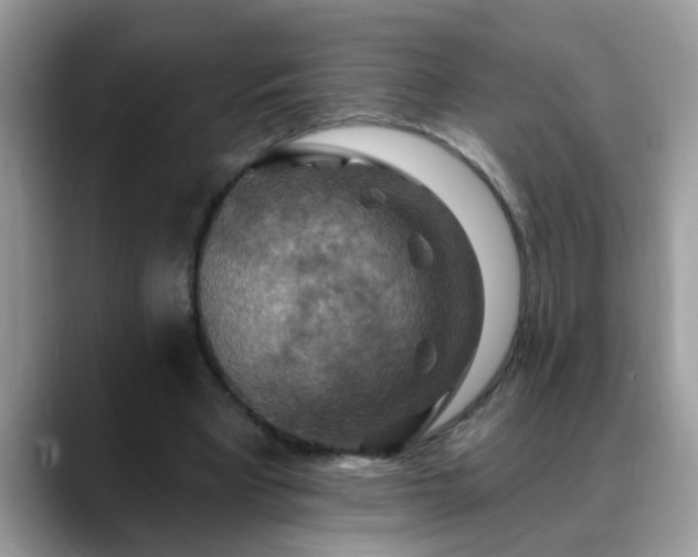 X0000088750393200706071724