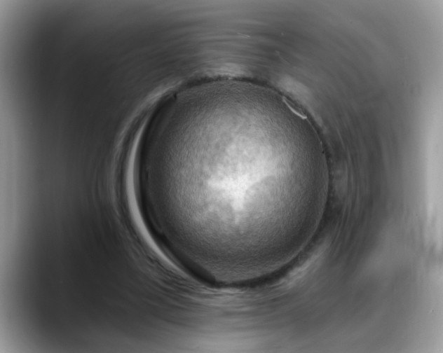 X0000088750395200706071724