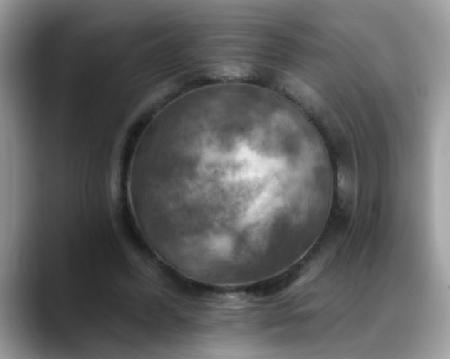 X0000088750396200706071724