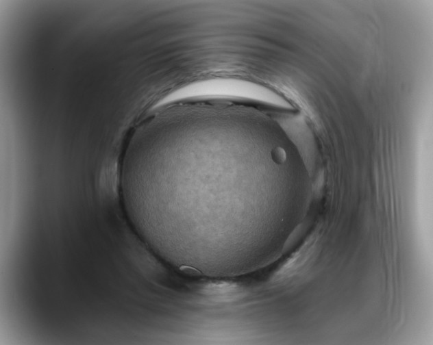 X0000088750397200706071724