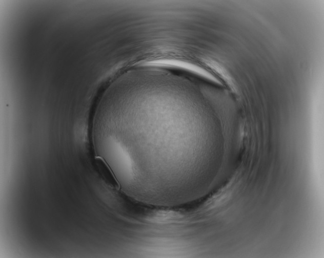 X0000088750399200706071724