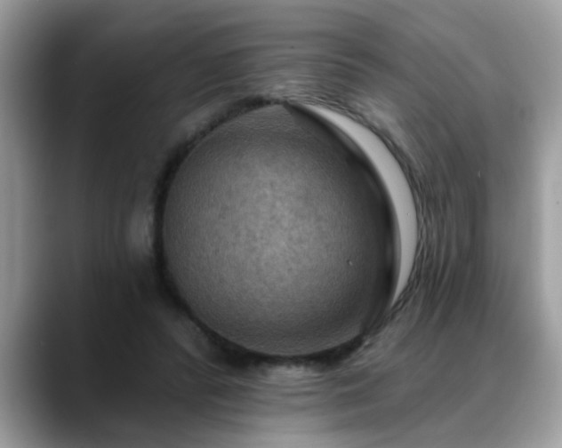X0000088750400200706071724