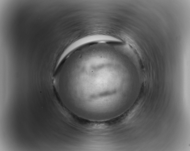 X0000088750401200706071724