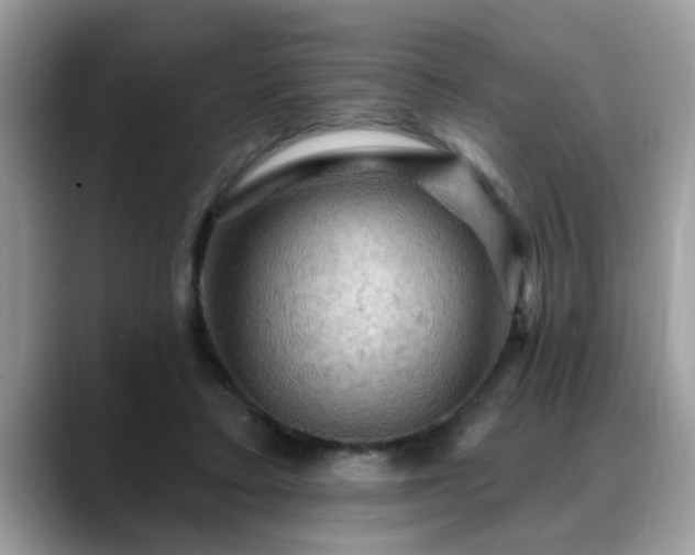 X0000088750403200706071724