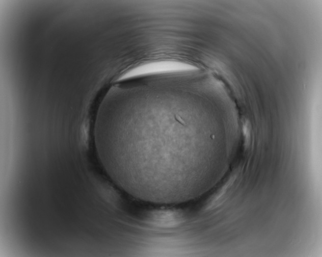 X0000088750404200706071724