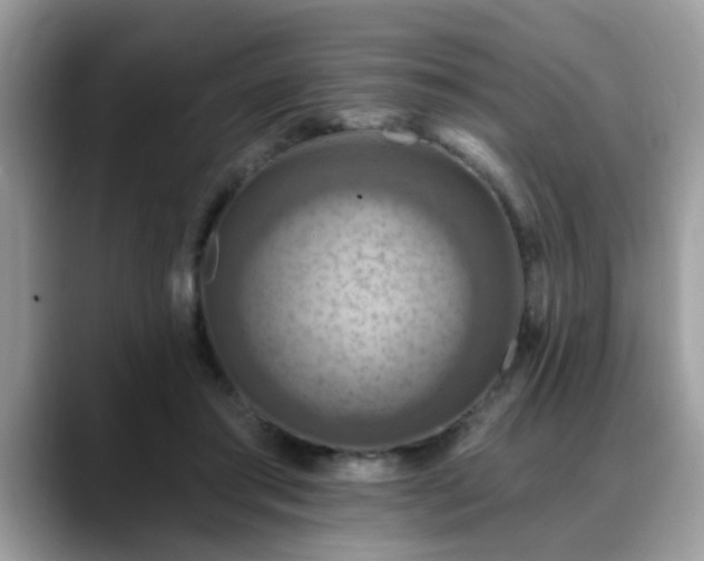X0000088750405200706071724