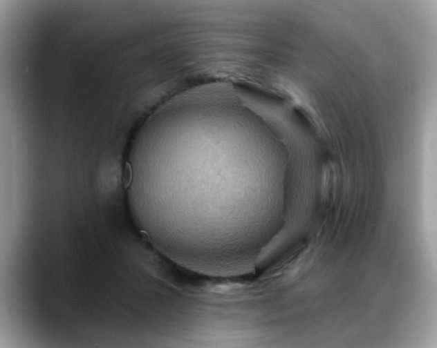 X0000088750407200706071724