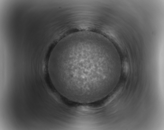 X0000088750408200706071724