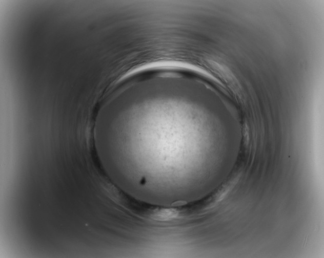 X0000088750409200706071724