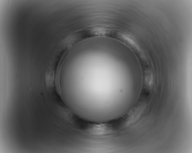 X0000088750411200706071724