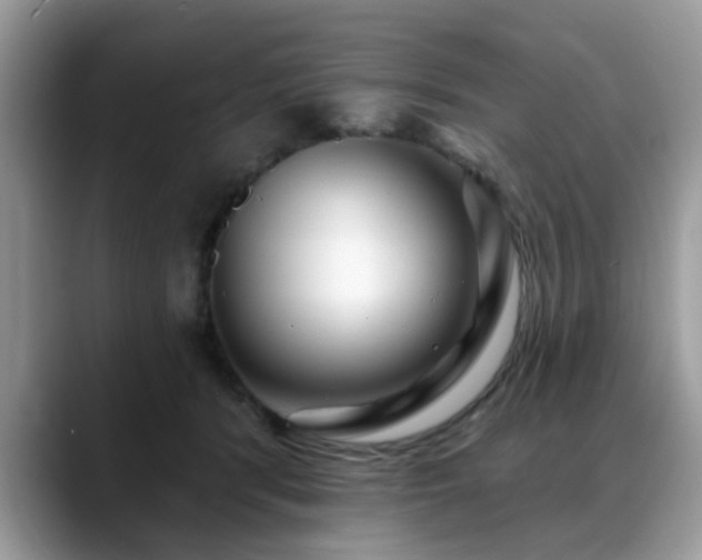 X0000088750416200706071724