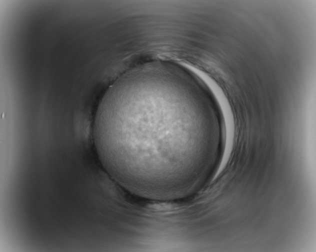 X0000088750417200706071724