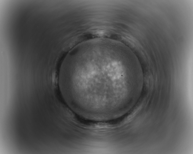 X0000088750420200706071724