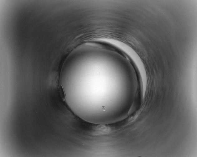 X0000088750421200706071724